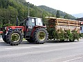 Erntedankfest 09-82